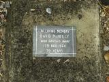 image of grave number 379205